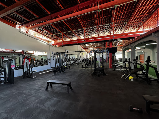 Fisiko Gym