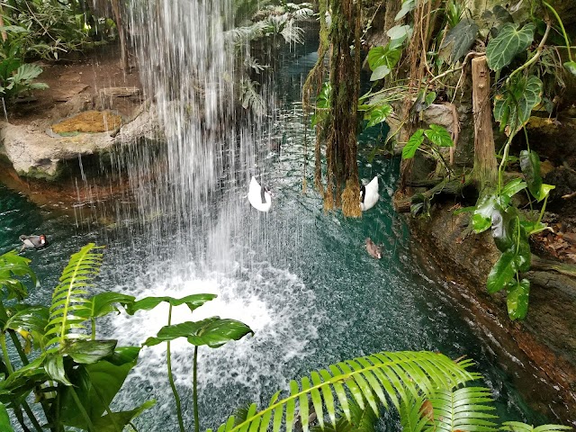 The Dallas World Aquarium