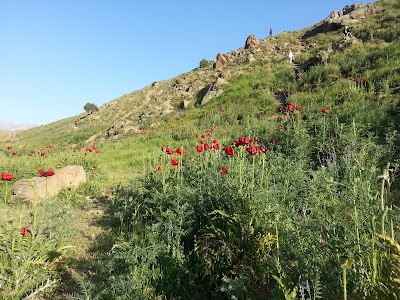 Photos of Lar National Park
