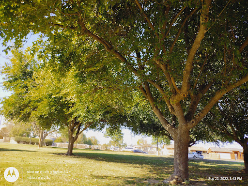 Flanagan Park - Thumbnail
