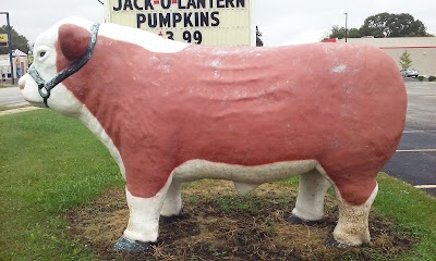 Photos of Baby Bull's Family Restaurant
