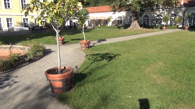 Gohlis Palace