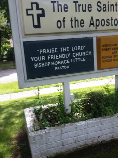 True Saints Temple-The Apstlc Gallery - United States