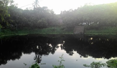 Photos of J.C. Boso Complex Pond