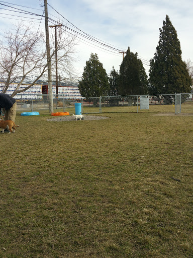 Old Town Bark Park