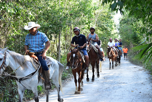 Seguro Caribbean tours and transfer