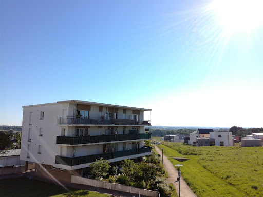 artIZAne - Visual