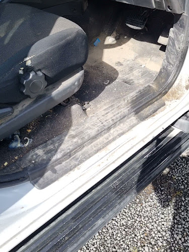 Vehicle Grooming Services