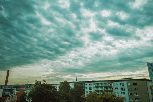 Blühwiese - Thumbnail