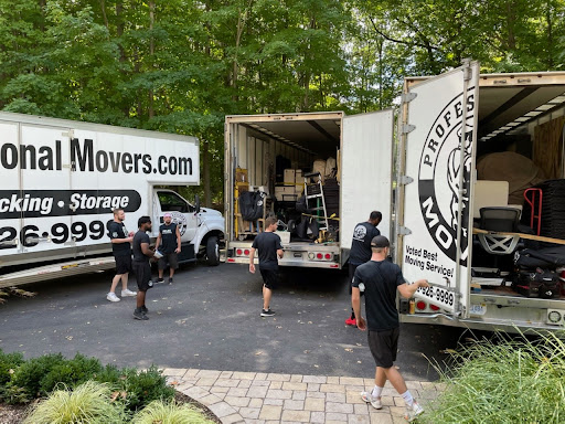 Professional Movers.com - Visual