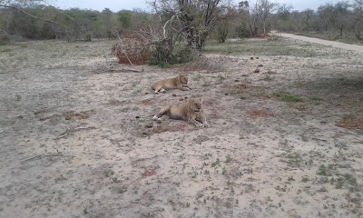 Photos of Cheetah Plains Private Game Reserve