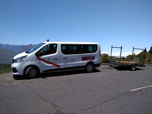 TAXI Los Llanos de Aridane – Andy Gallery - Spain