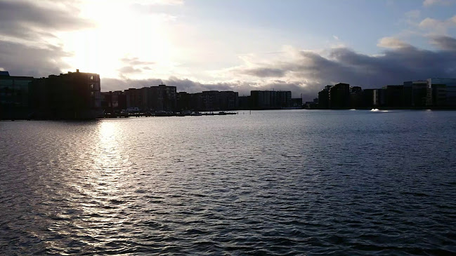 Kingfish - Amager Vest