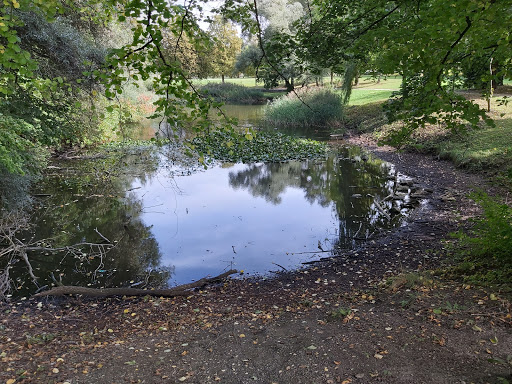 Hetschenweiher - Visual
