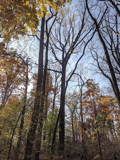 Belt Woods Natural Environment Area