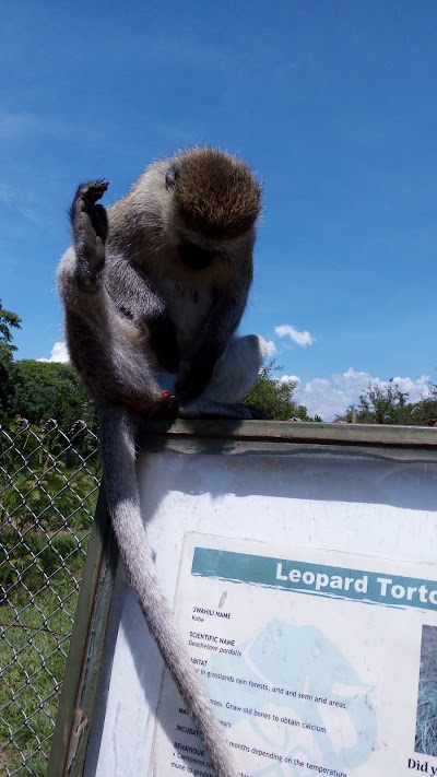 Photos of Kisumu Impala Sanctuary