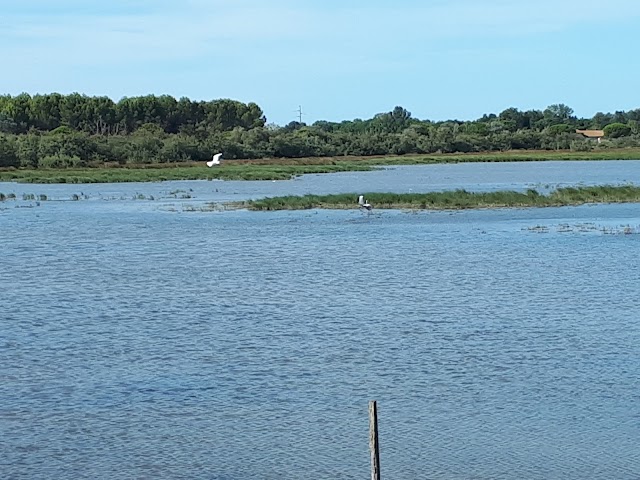Tour Carbonnière