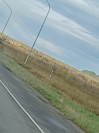 Glenn Highway Christmas Tree - Thumbnail