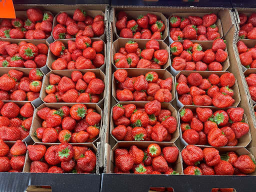 Obst gemüse laden Gallery - Germany