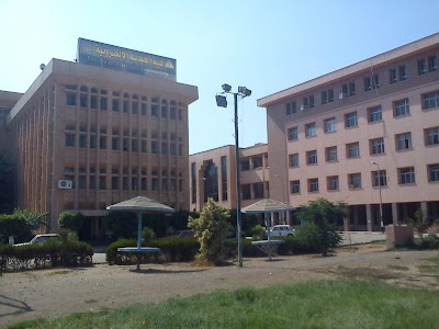 photo of Faculty Of Electronic Engineering - Menofia University