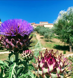 Photo n°48 de Mas Christiane à Buis-les-Baronnies (Chambre d'hôtes)