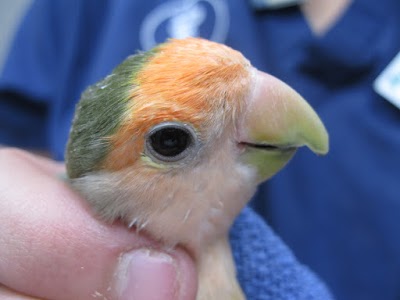 Photos of Cascade Hospital for Animals