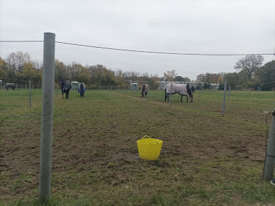 Pferdesportzentrum Warendorf Gröblingen 47, 48231 Warendorf, Deutschland
