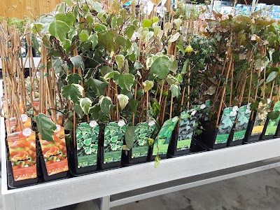 Photos of Tuincentrum Decaflor