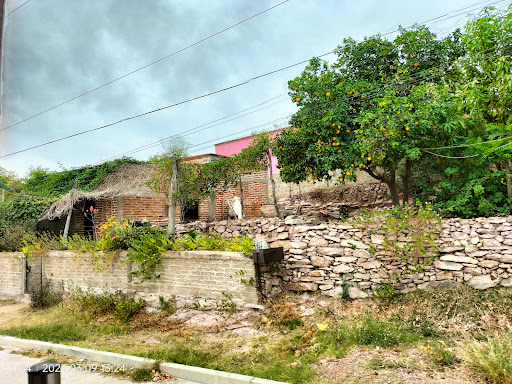 Alamos sonora - Visual