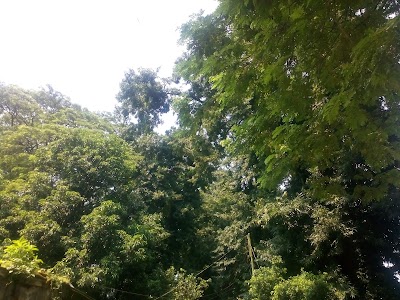 Photos of Old Shishu Park