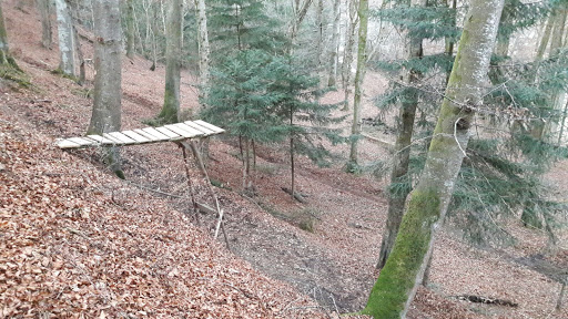 Freerider's Park - Thumbnail