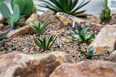 コヤタス －植物販売店－