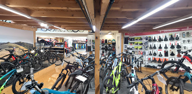 Randen Bike GmbH - Fahrradgeschäft