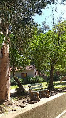 Opiniones de Camping Las Flores en Maldonado - Camping