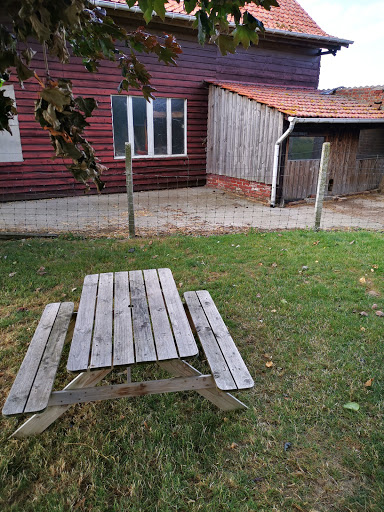 La Ferme des Dames - Steenwerck Gallery - France