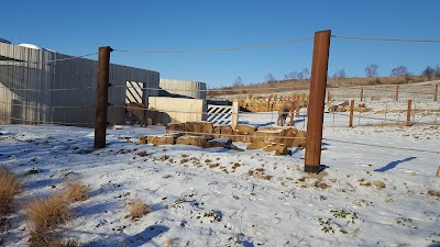 Photos of Thuringian Zoo Park, Erfurt