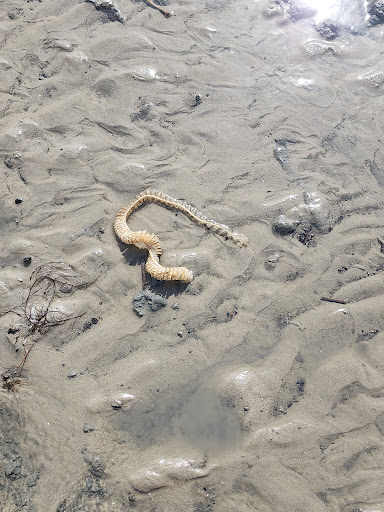 Fish Haul Beach - Thumbnail