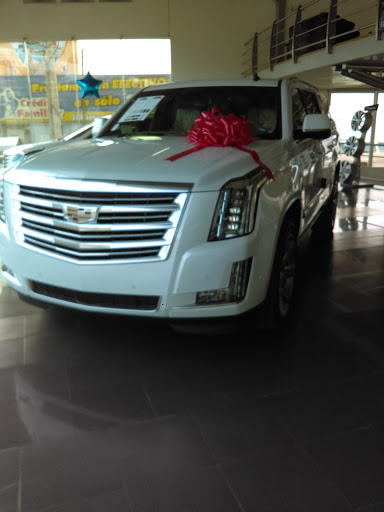 Noroeste Motors, S.A. de C.V. Gallery - Mexico