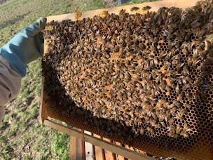 Photo n°1 de Miellerie De Pierre à Brouderdorff (Miellerie)