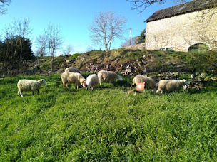 Photo n°13 de L' Agneau des Clédelles à Sainte-Eulalie-de-Cernon (Ferme d'élevage)