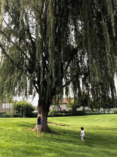Temple View Park - Visual