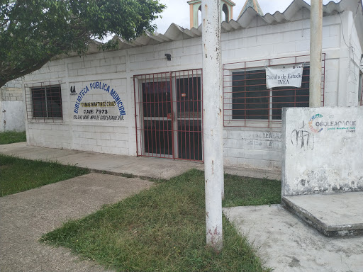 Biblioteca Publica Municipal Tomas Martinez Cruz