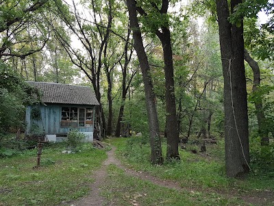 Photos of ATLANT