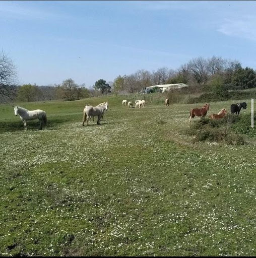 Photo de Domaine des Poirier