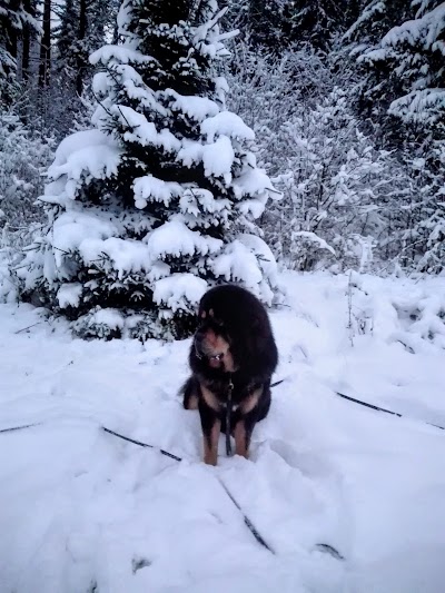 Photos of Jalad Seinale O&Uuml;- Partsilombi puhkemaja ja Lombi puhkemaja