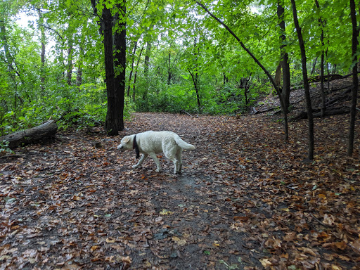 Lake Minnewashta Regional Park - Thumbnail