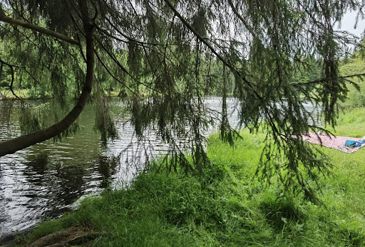 Ochsenbacher Teich - Visual