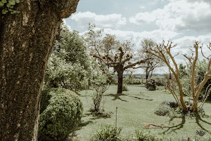 Photo n°25 de Dame Chouette à Pujols (Maison d'hôtes)