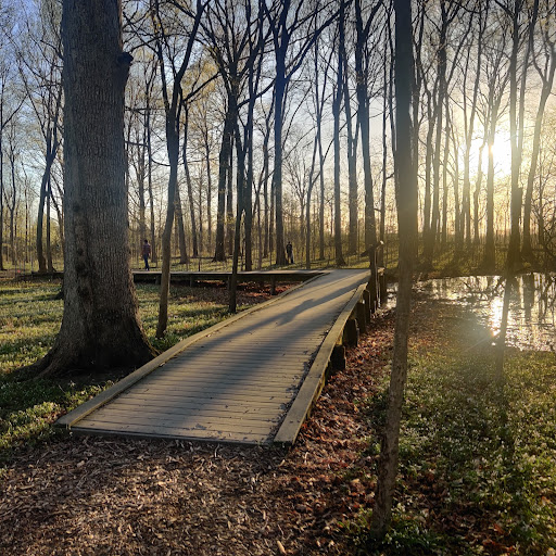 Celery Bog Nature Area - Thumbnail