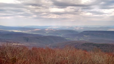 Photos of Bear Rocks Preserve